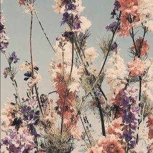 Meet your Posher, Alanna